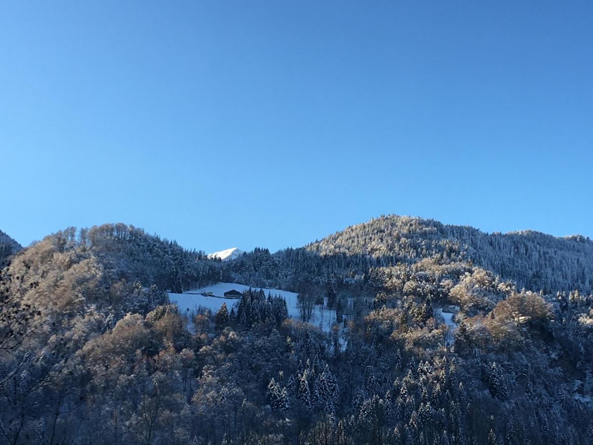 Apartament Nant D Ant Samoëns Zewnętrze zdjęcie