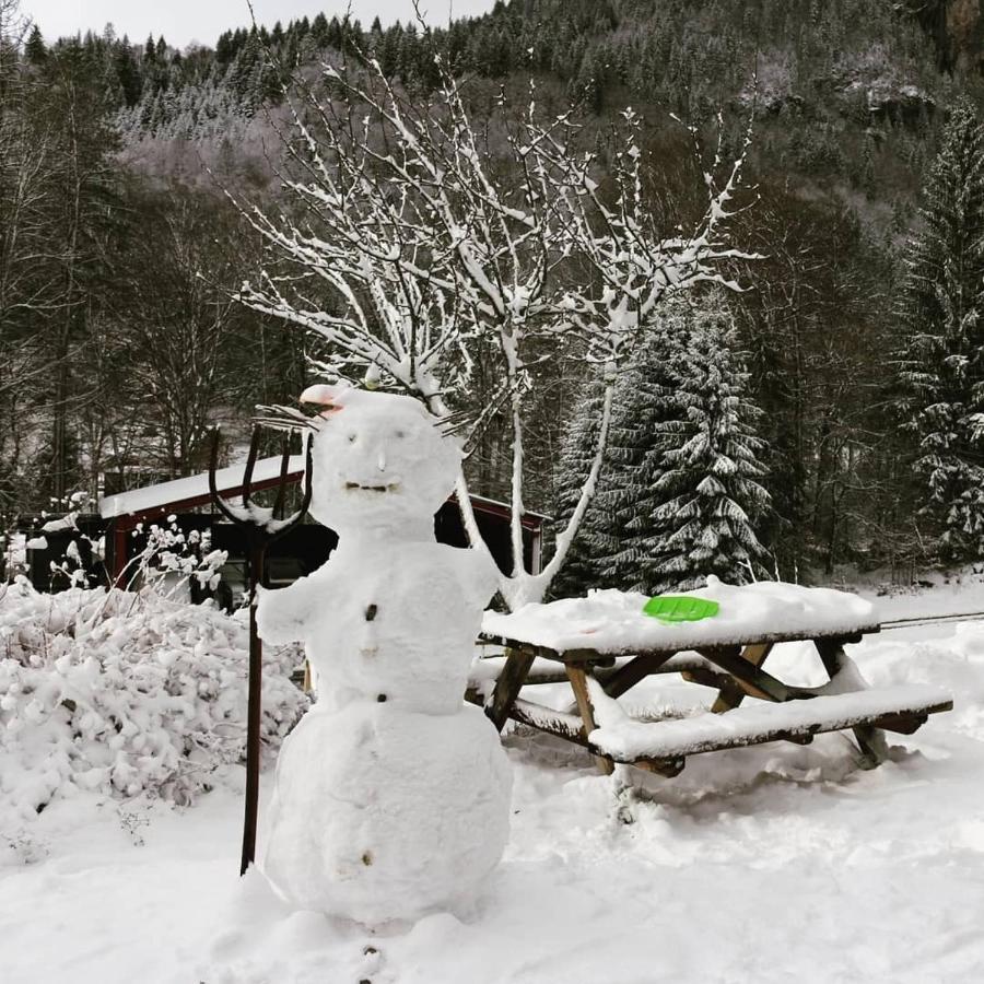 Apartament Nant D Ant Samoëns Zewnętrze zdjęcie