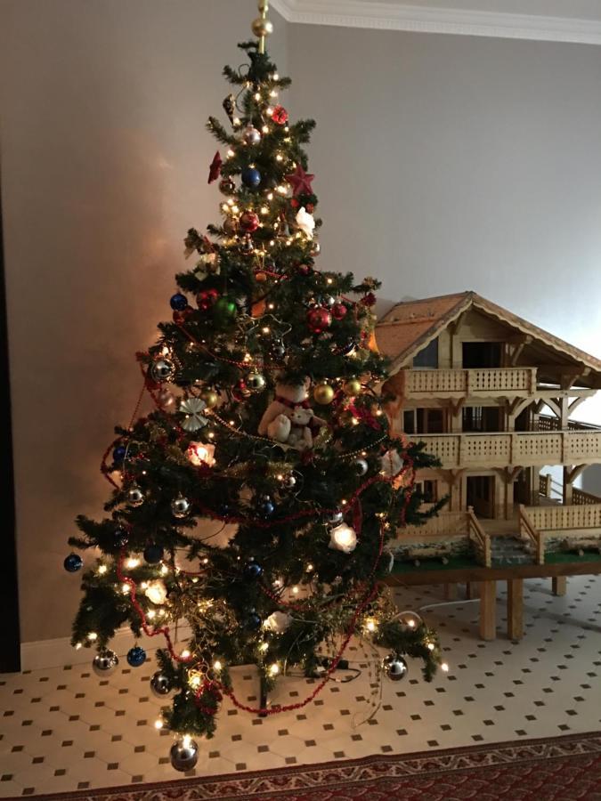 Apartament Nant D Ant Samoëns Zewnętrze zdjęcie